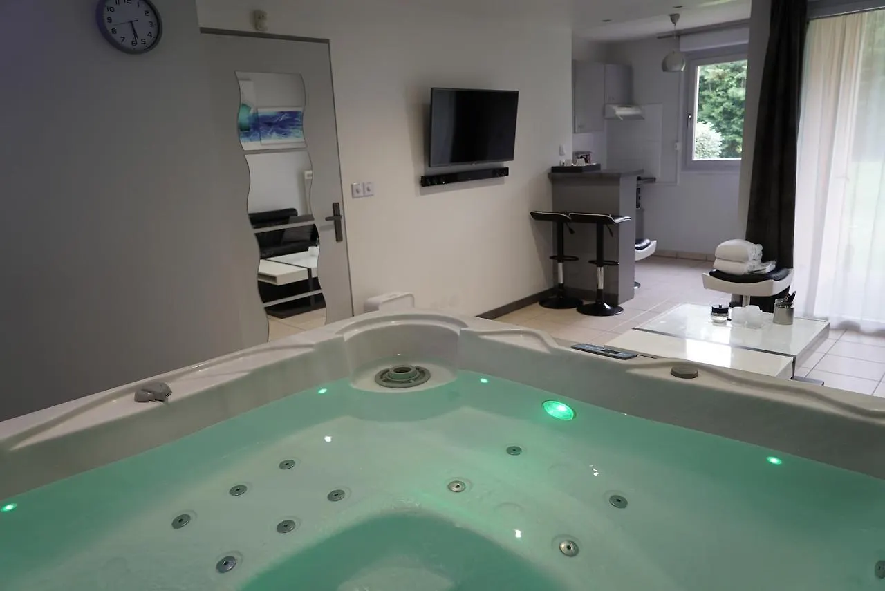 Appart&Spa Тулуза Апартаменты