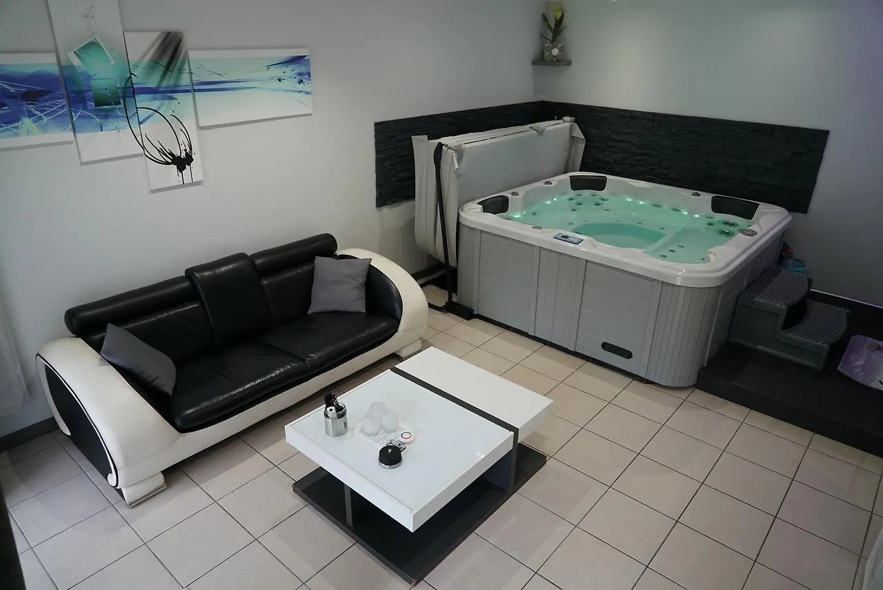 Appart&Spa Тулуза Франция